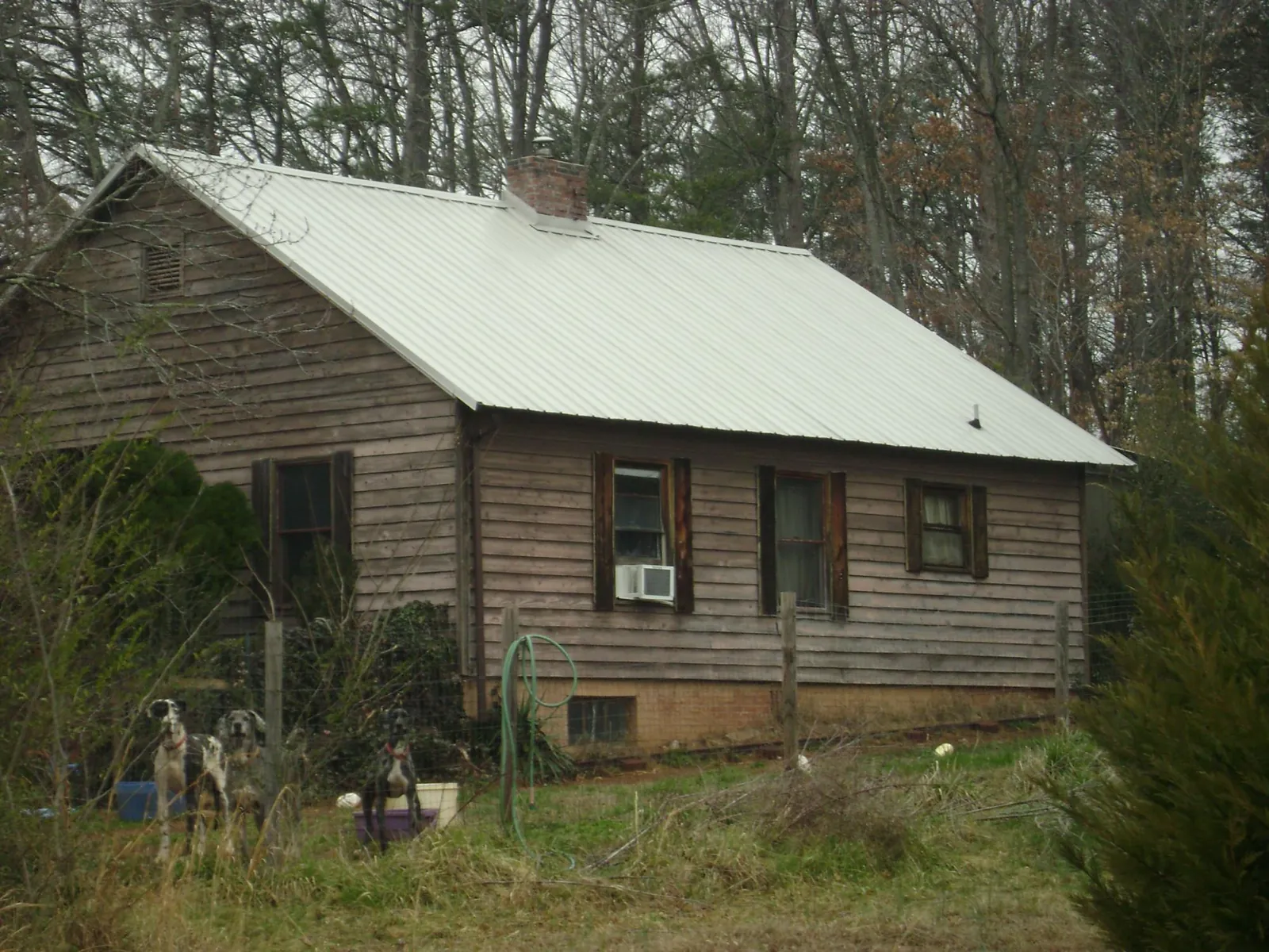 White metal roof on an old wood sided farmhouse, from a Asphalt Shingle Roof Repair job in Nevada City